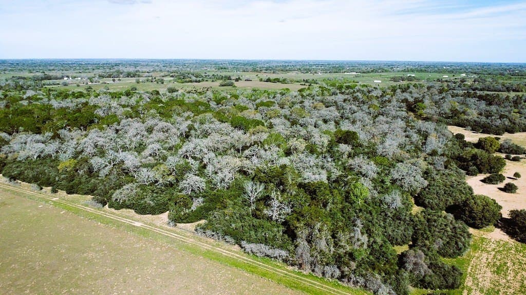 203 acres in Lavaca County - photo 28