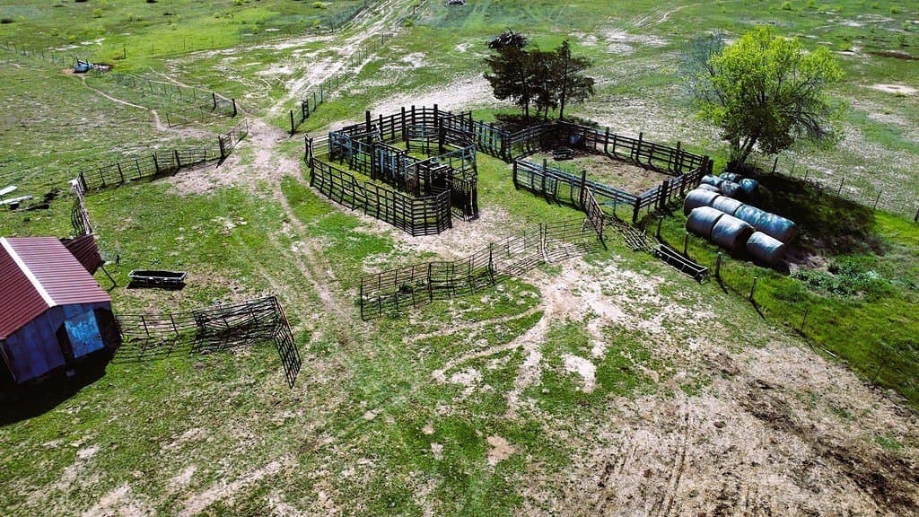 203 acres in Lavaca County - photo 19