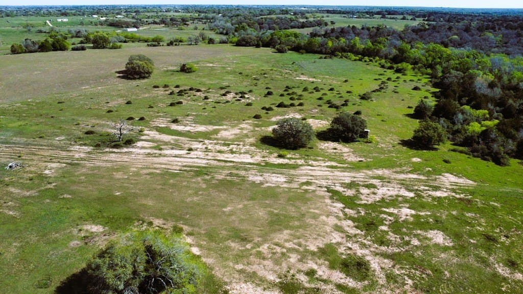 203 acres in Lavaca County - photo 20