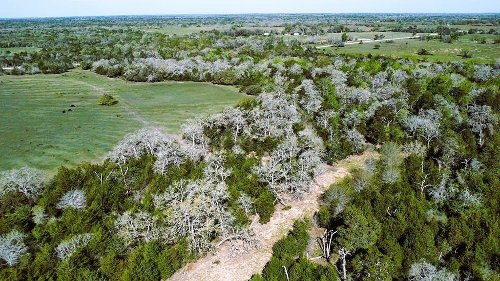 203 acres in Lavaca County - photo 13