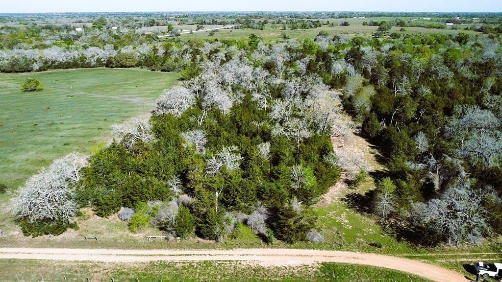 203 acres in Lavaca County - photo 6