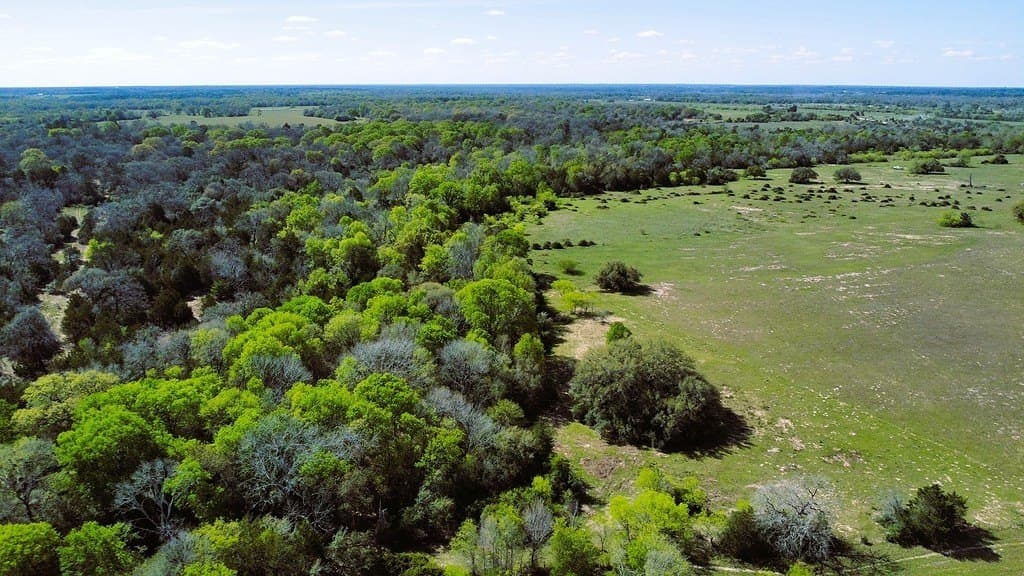 203 acres in Lavaca County - photo 3