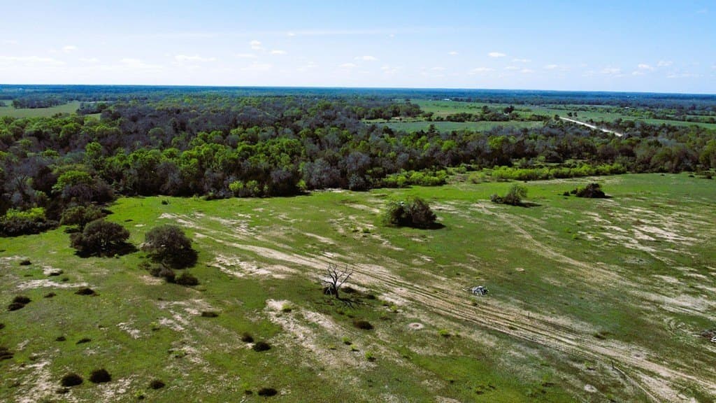 203 acres in Lavaca County - photo 9