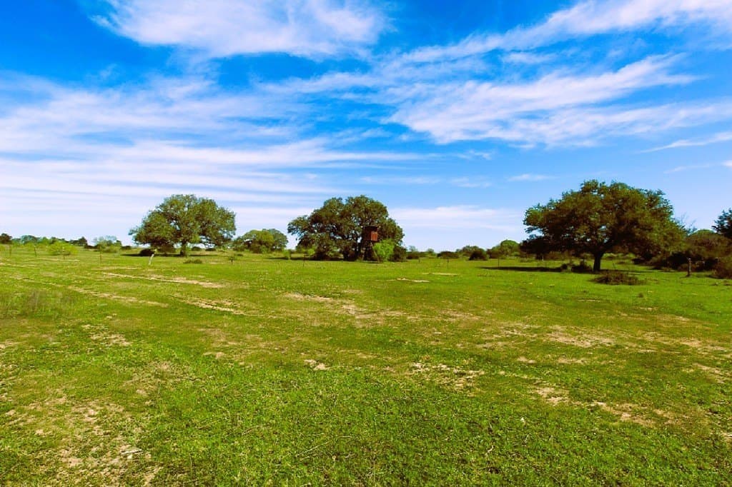 203 acres in Lavaca County - photo 25