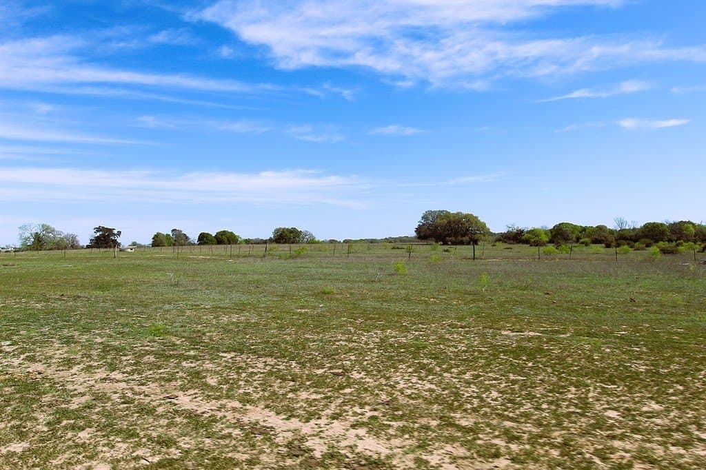 203 acres in Lavaca County - photo 23