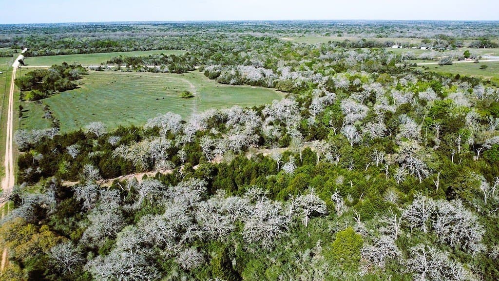 203 acres in Lavaca County - photo 17