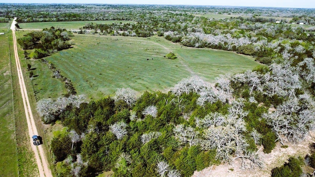 203 acres in Lavaca County - photo 15