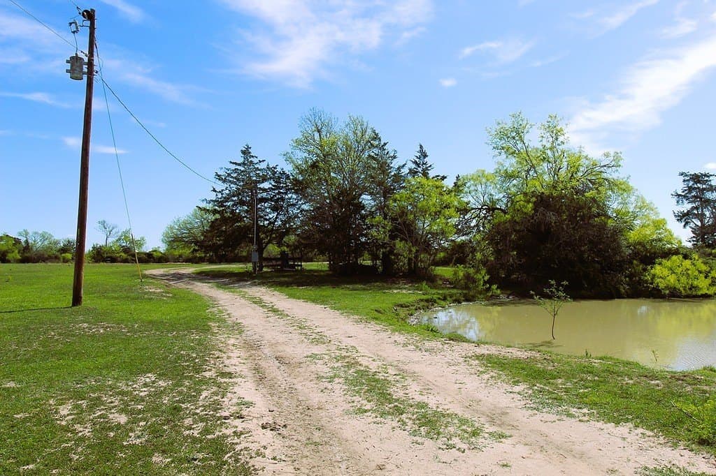 203 acres in Lavaca County - photo 11