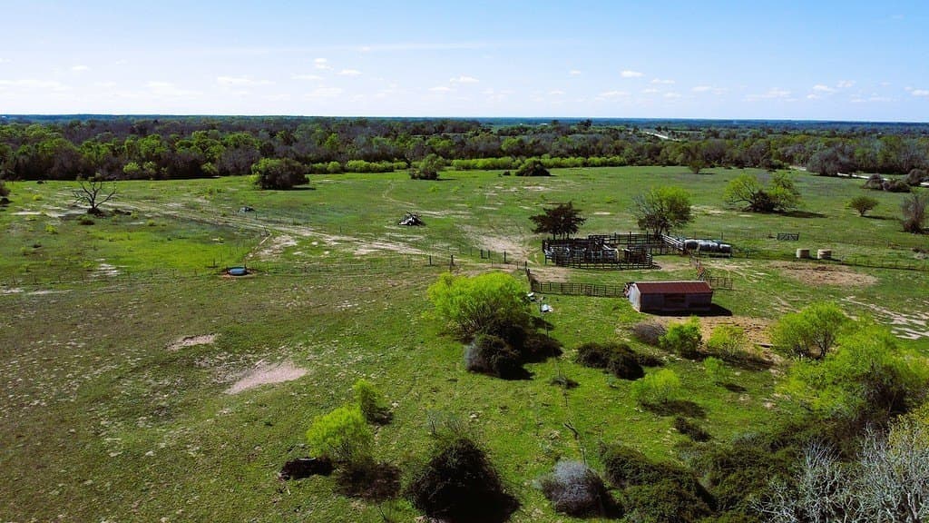203 acres in Lavaca County - photo 18