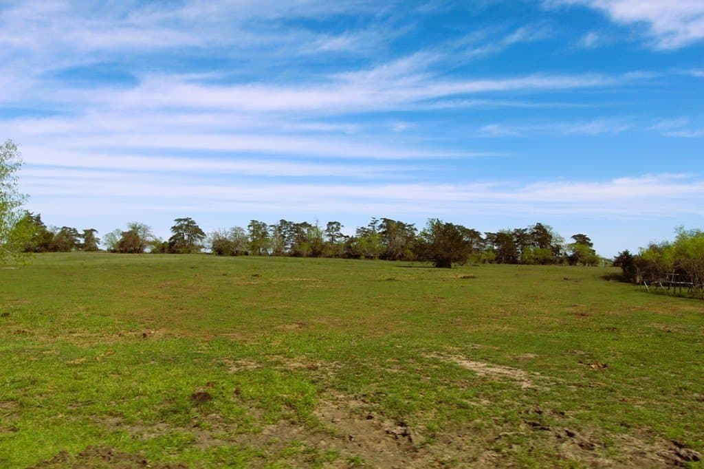 203 acres in Lavaca County - photo 21