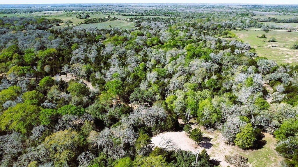 203 acres in Lavaca County - photo 26