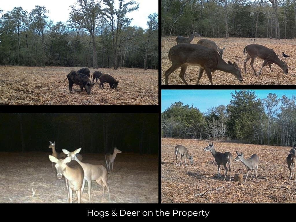 11 acres in Burleson County - photo 26