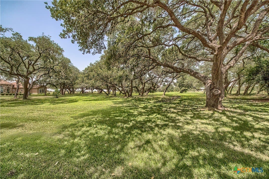 21 acres in Guadalupe County - photo 43