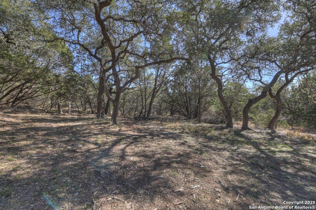 1.26 acres in Comal County - photo 24