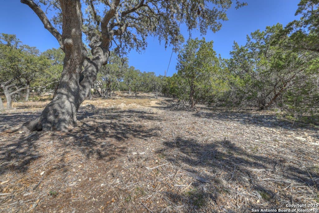1.26 acres in Comal County - photo 29