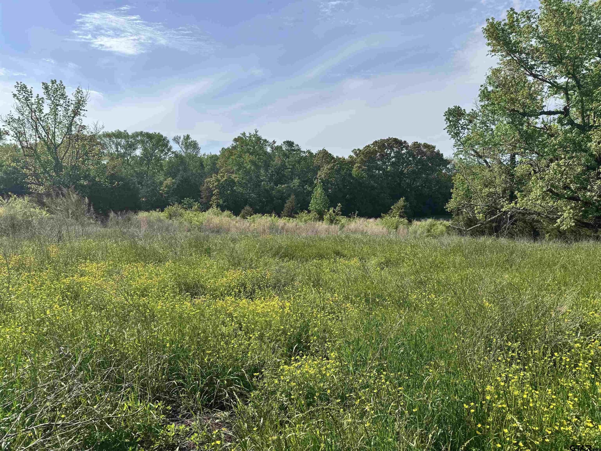 21.68 acres in Wood County - photo 7