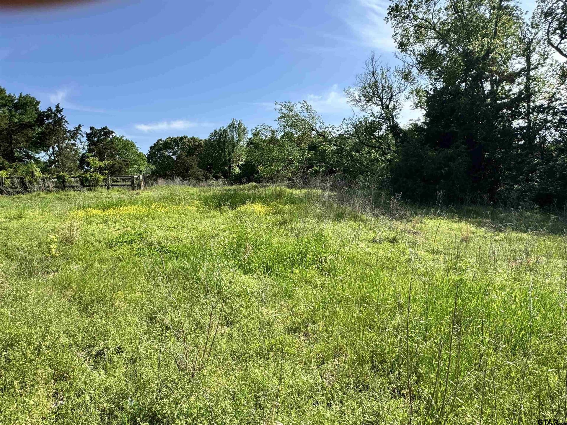 21.68 acres in Wood County - photo 4