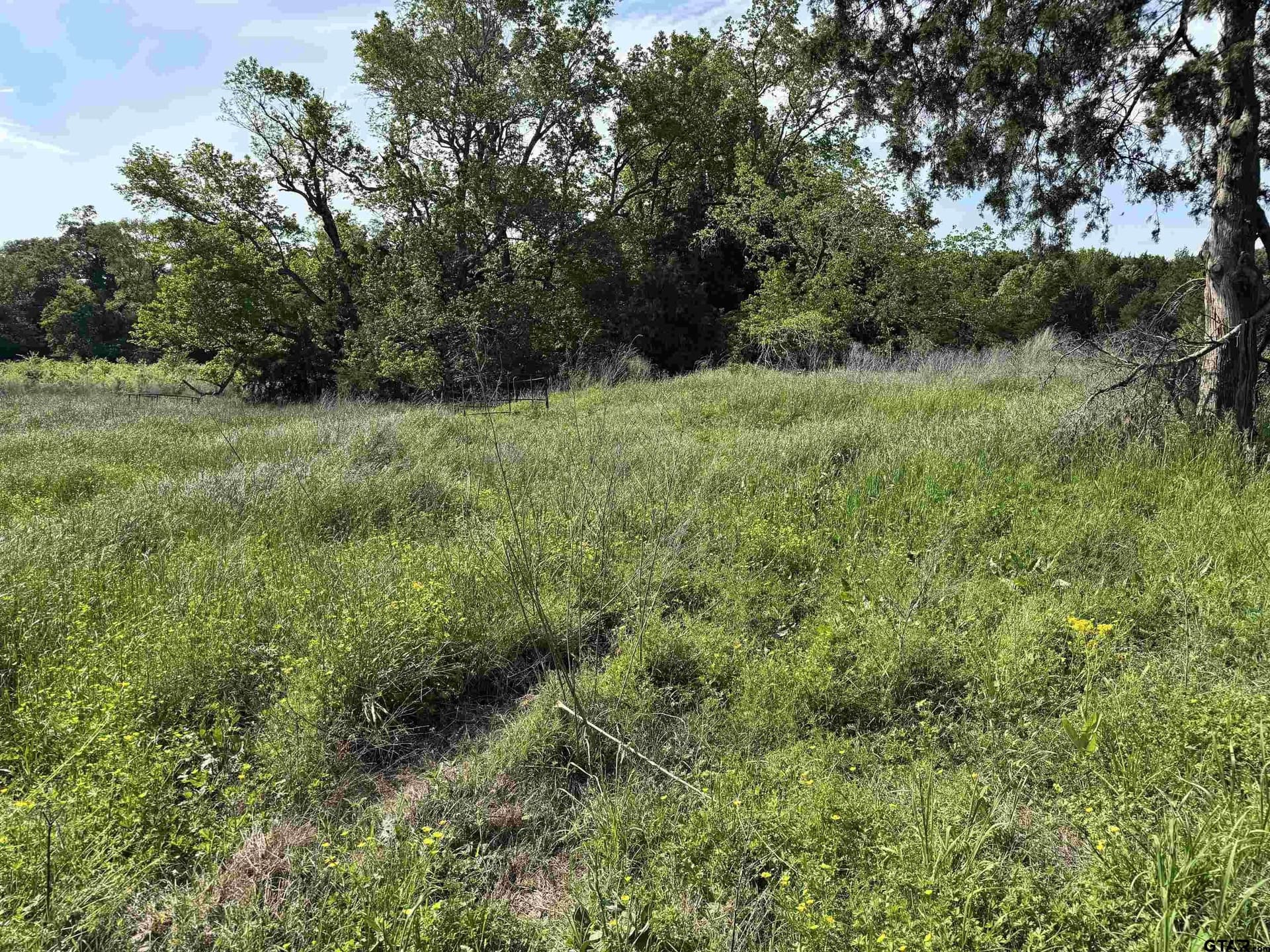 21.68 acres in Wood County - photo 11