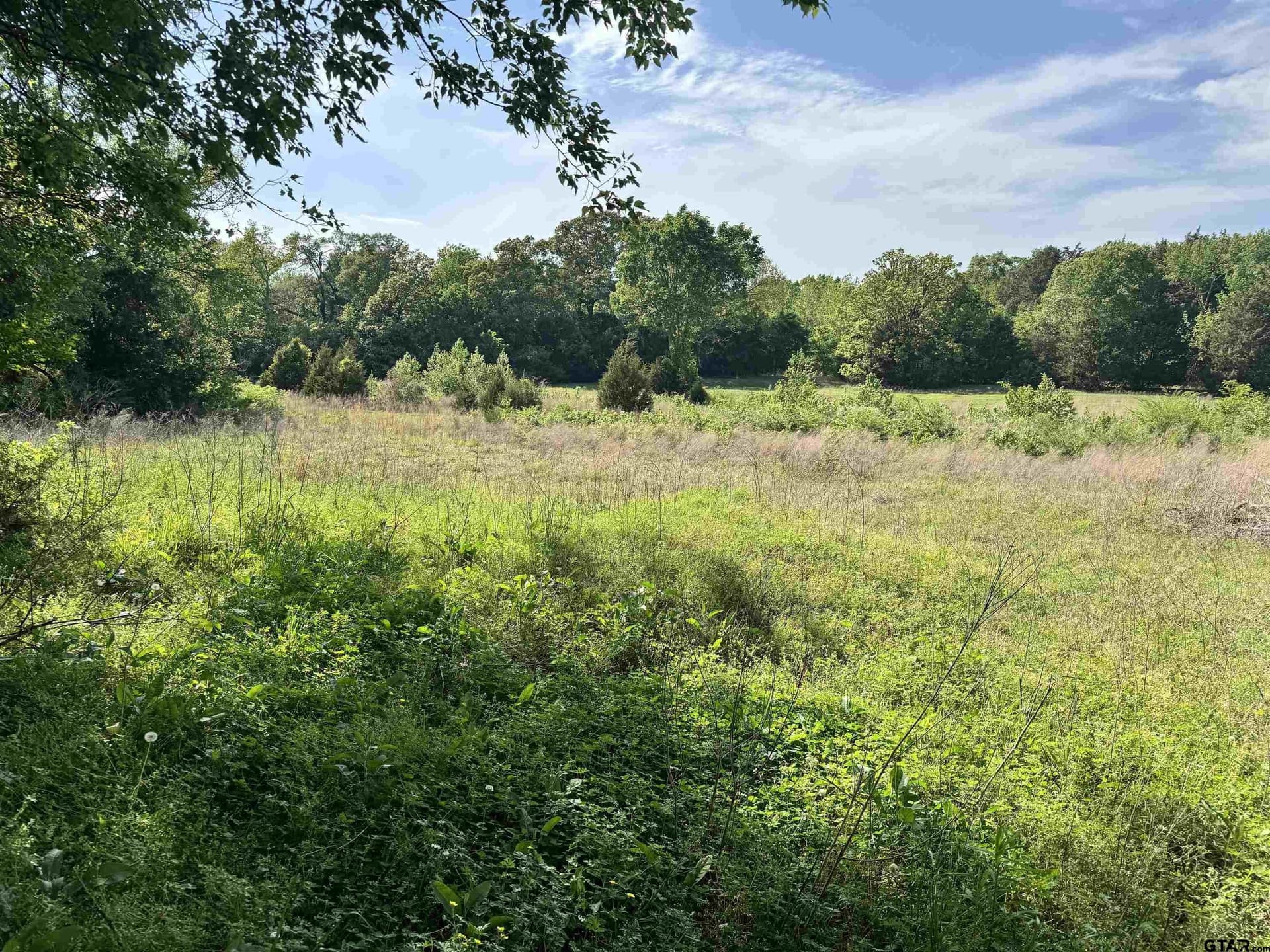 21.68 acres in Wood County - photo 20