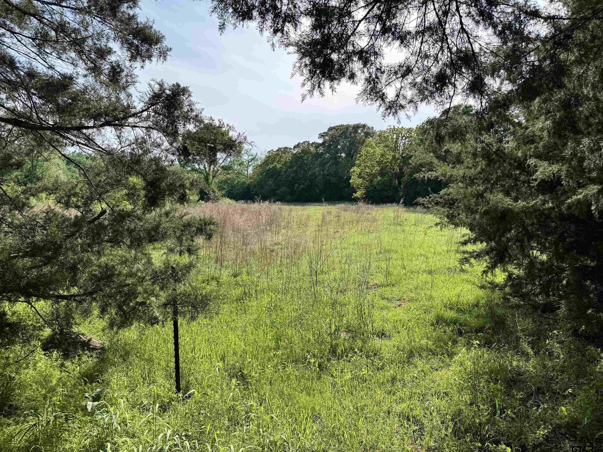 21.68 acres in Wood County - photo 6