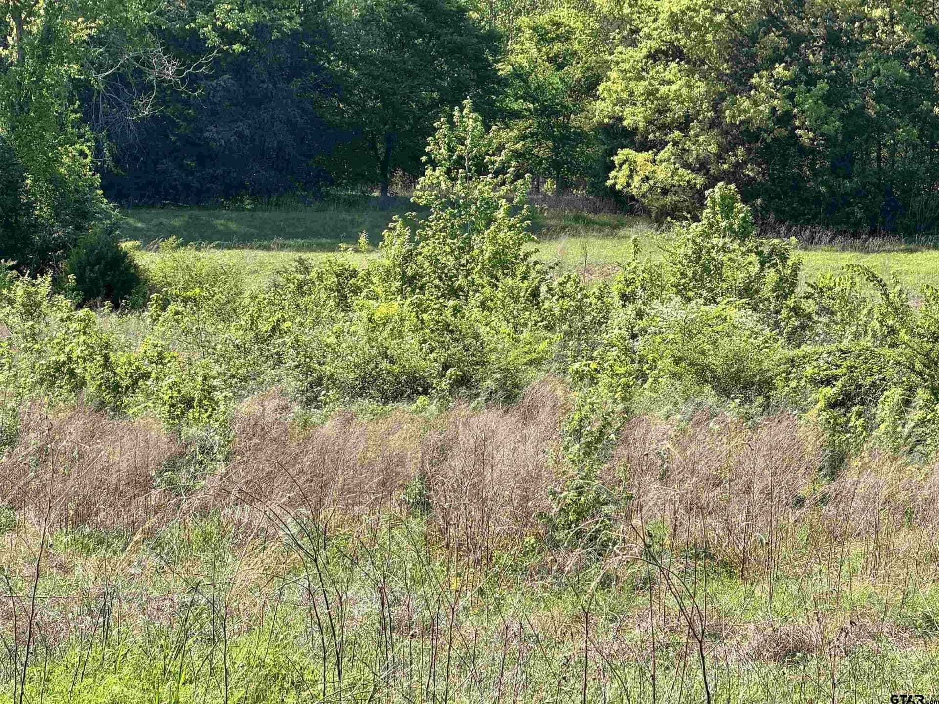 21.68 acres in Wood County - photo 19