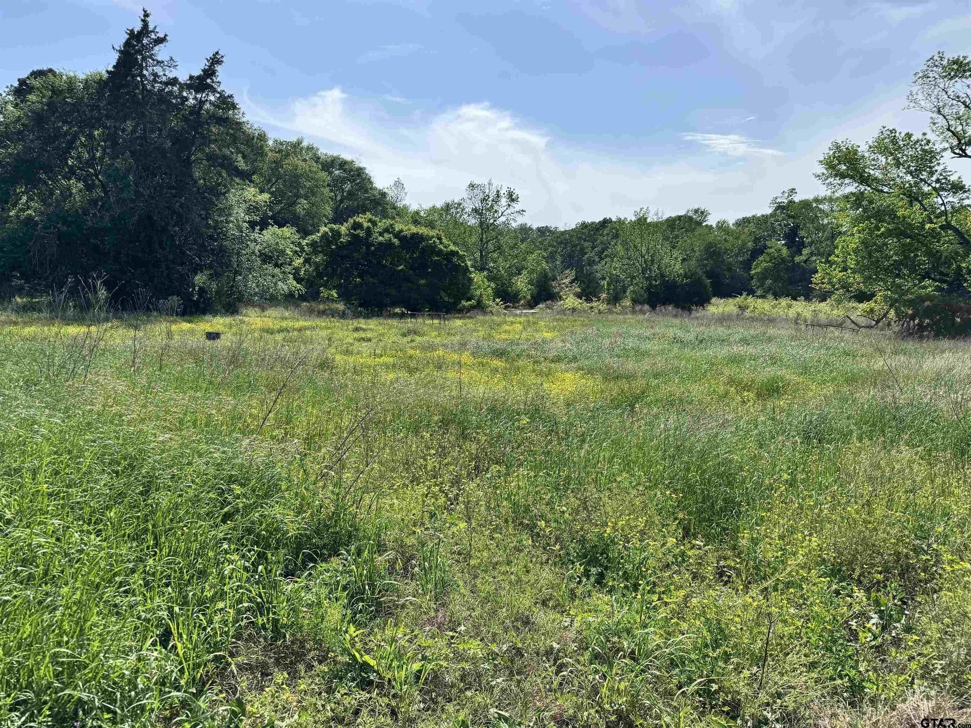 21.68 acres in Wood County - photo 12