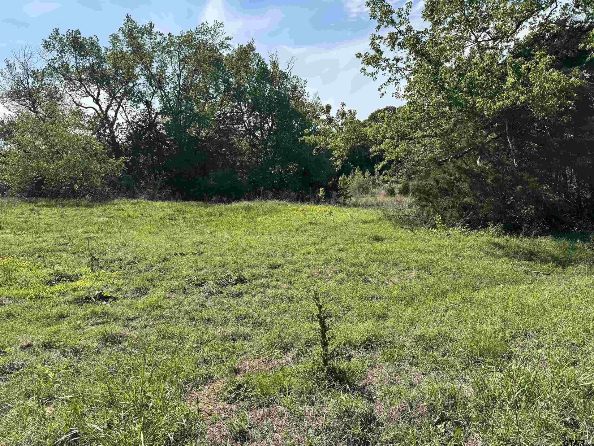 21.68 acres in Wood County - photo 15