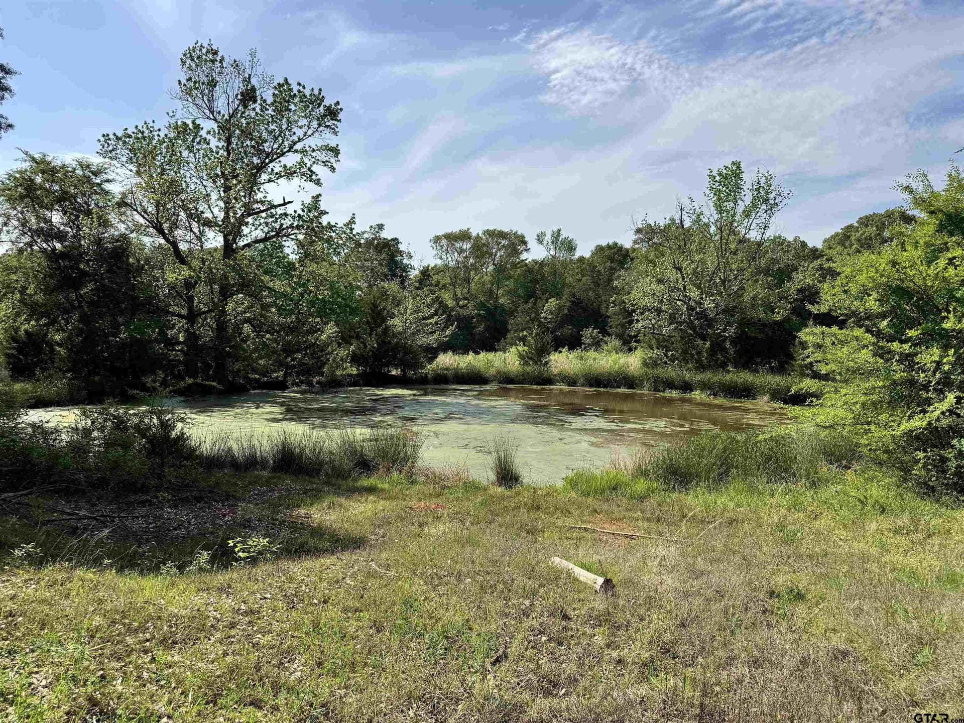 21.68 acres in Wood County - photo 9