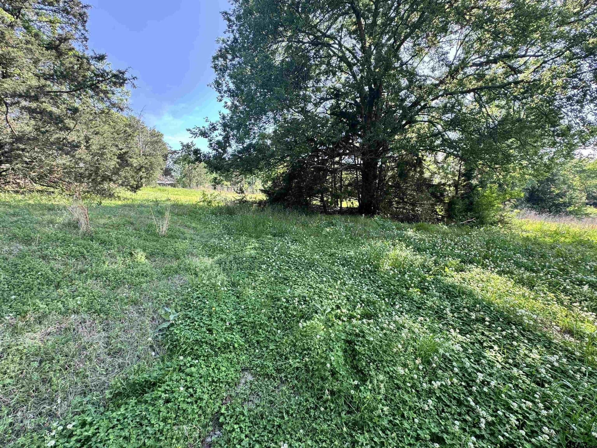 21.68 acres in Wood County - photo 16