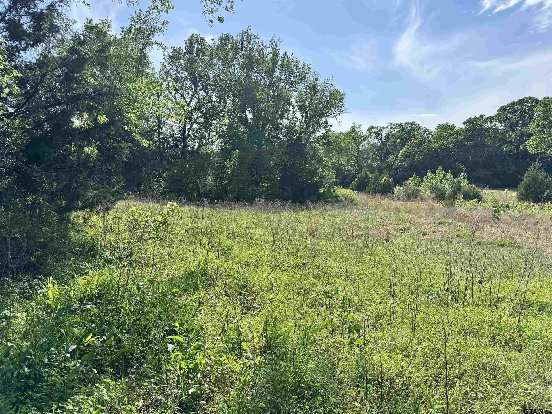 21.68 acres in Wood County - photo 17