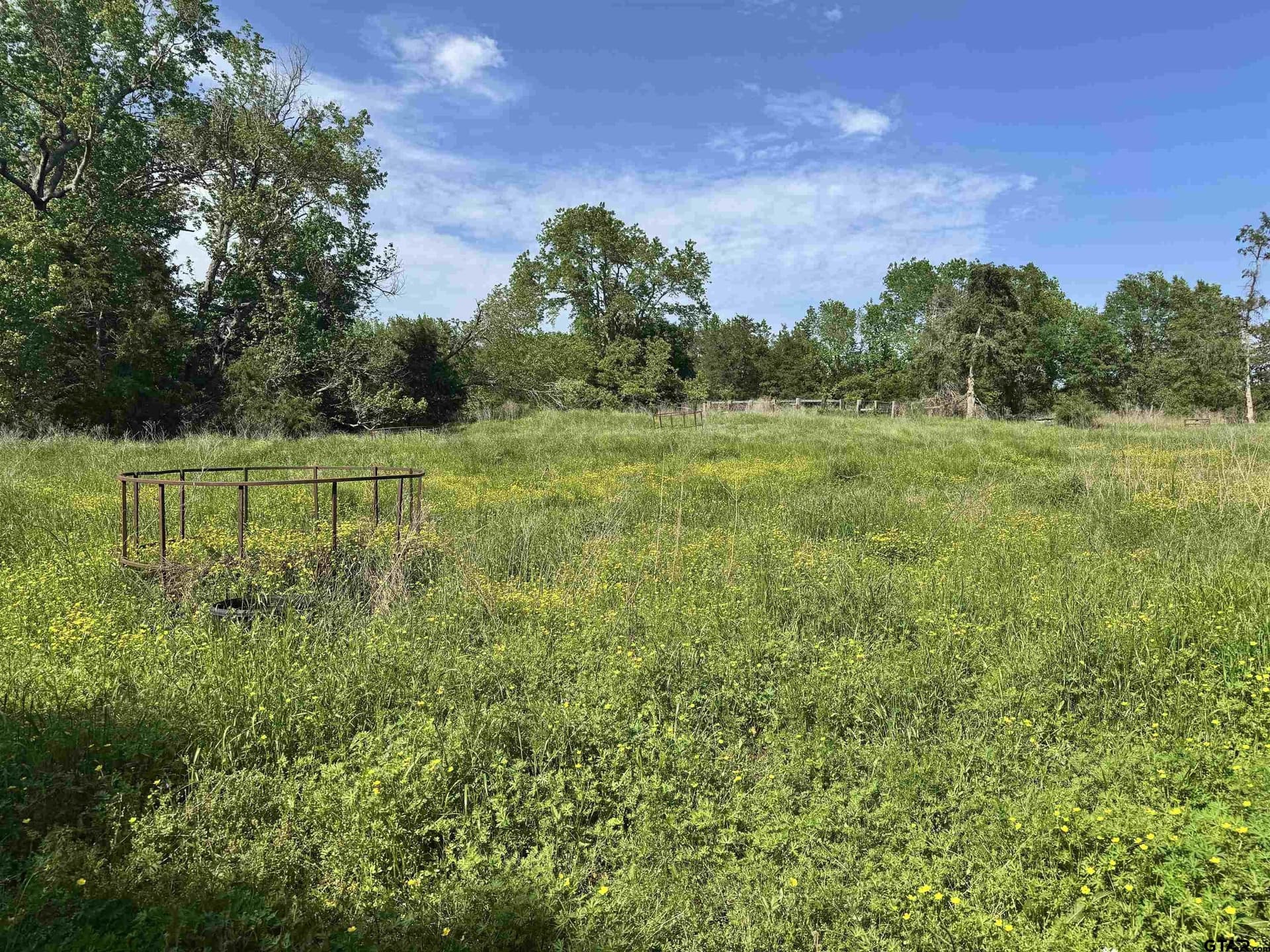 21.68 acres in Wood County - photo 8