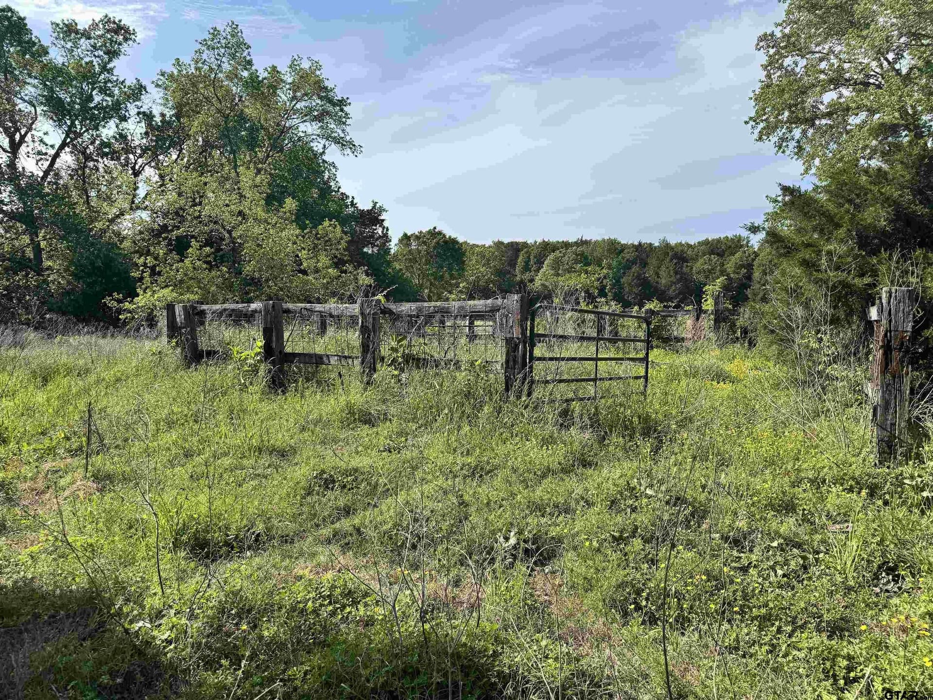 21.68 acres in Wood County - photo 5