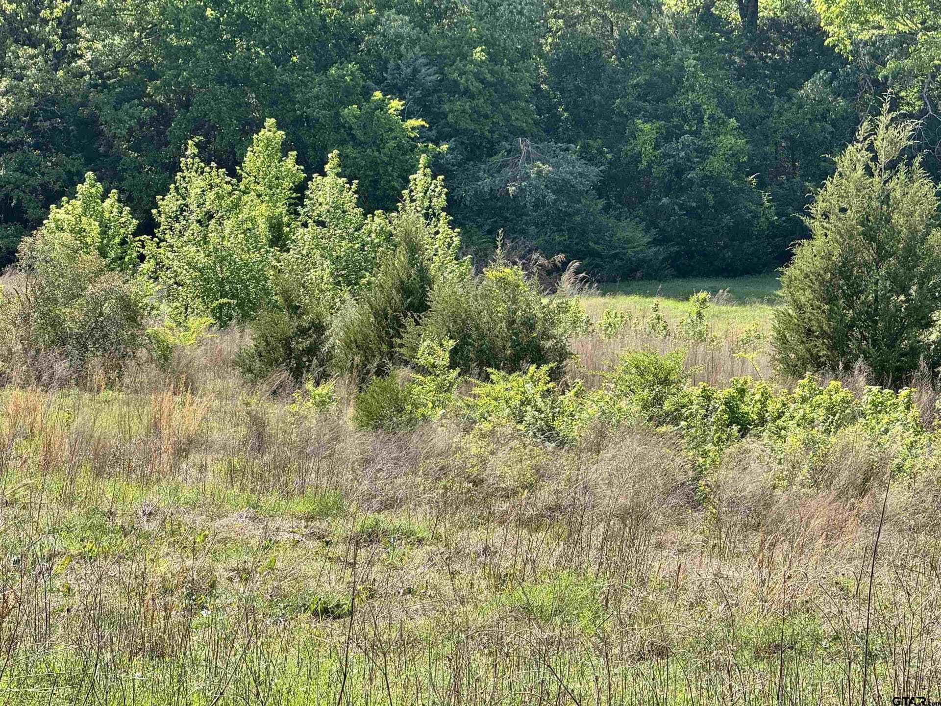 21.68 acres in Wood County - photo 18