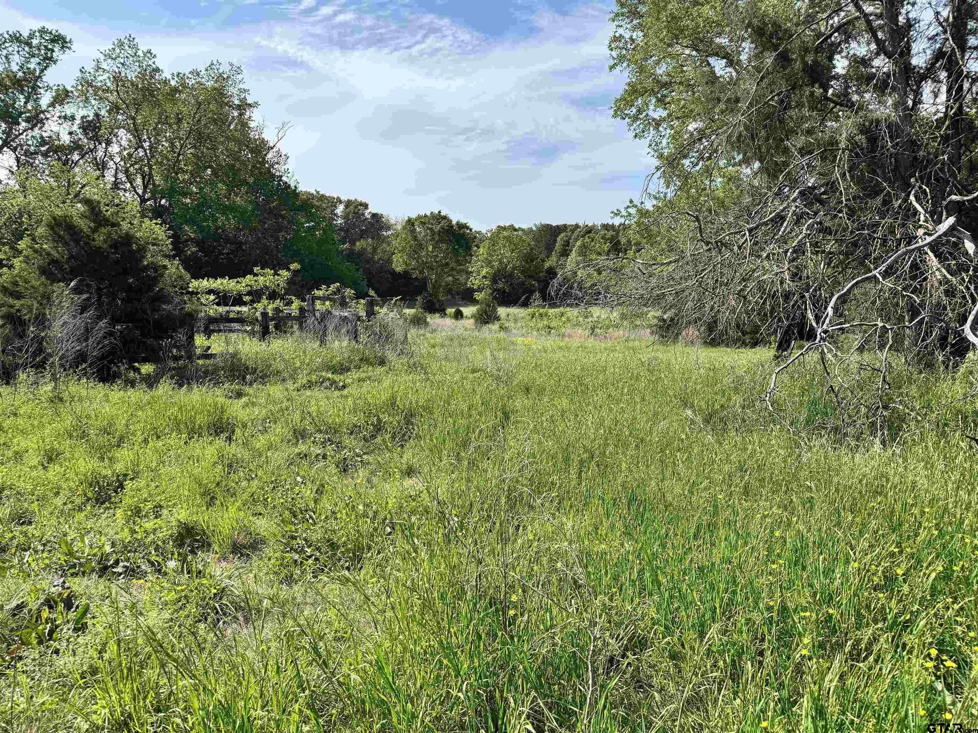 21.68 acres in Wood County - photo 13