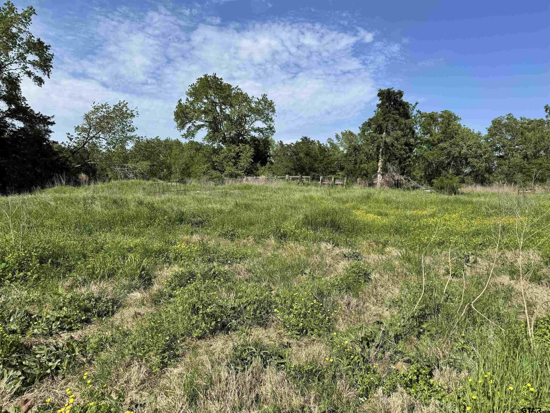 21.68 acres in Wood County - photo 10