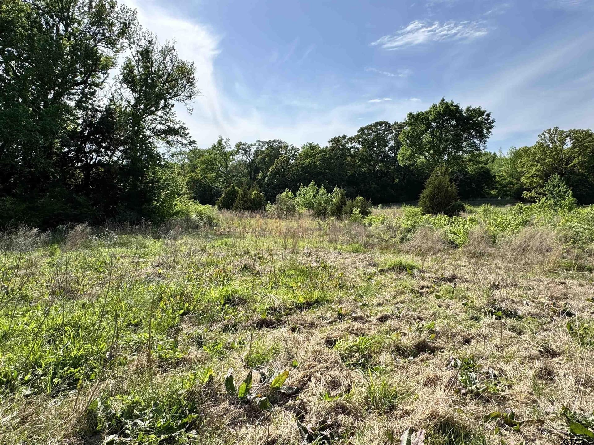 21.68 acres in Wood County - photo 3