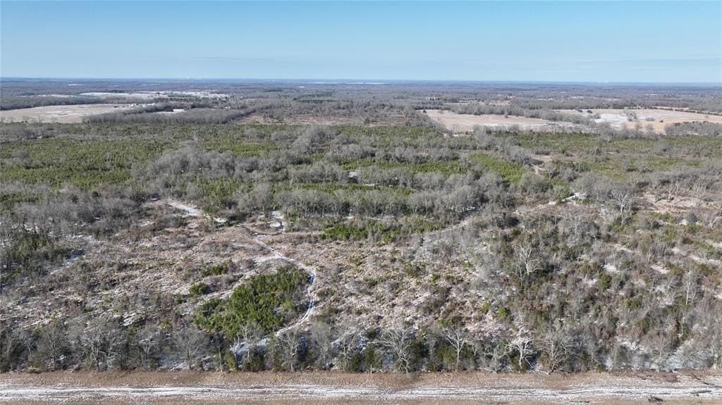 80.65 acres in Red River County - photo 5