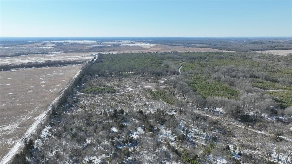 80.65 acres in Red River County - photo 3