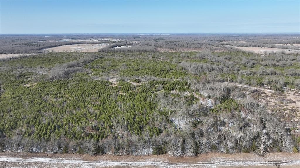 80.65 acres in Red River County - photo 7