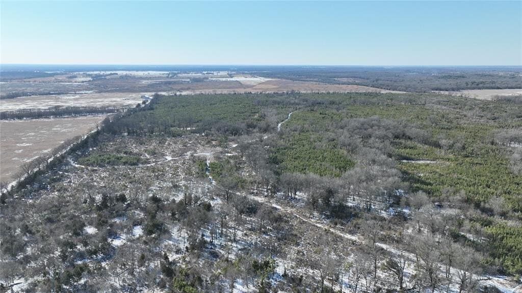 80.65 acres in Red River County - photo 2