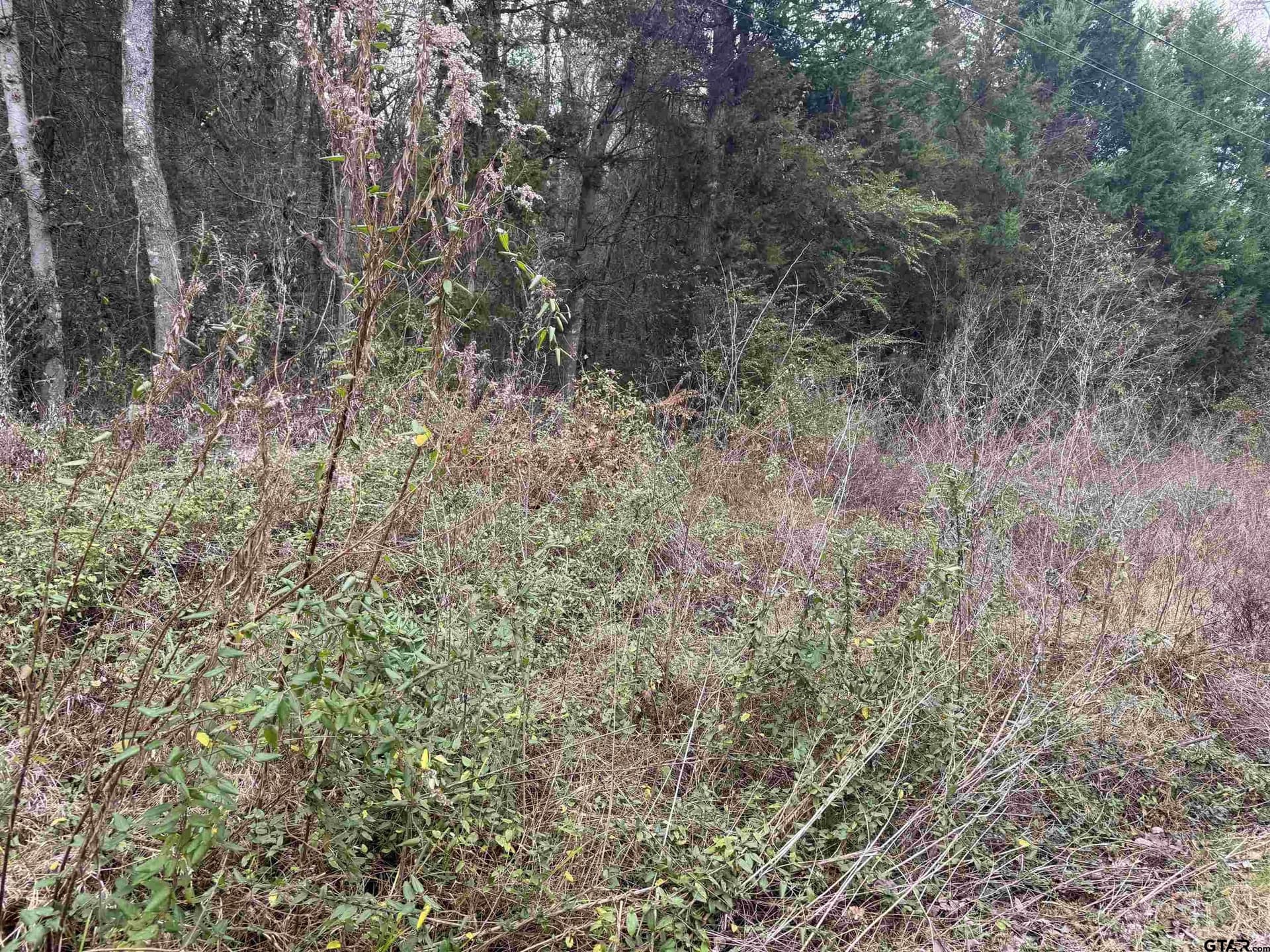 0.41 acres in Cherokee County - photo 2