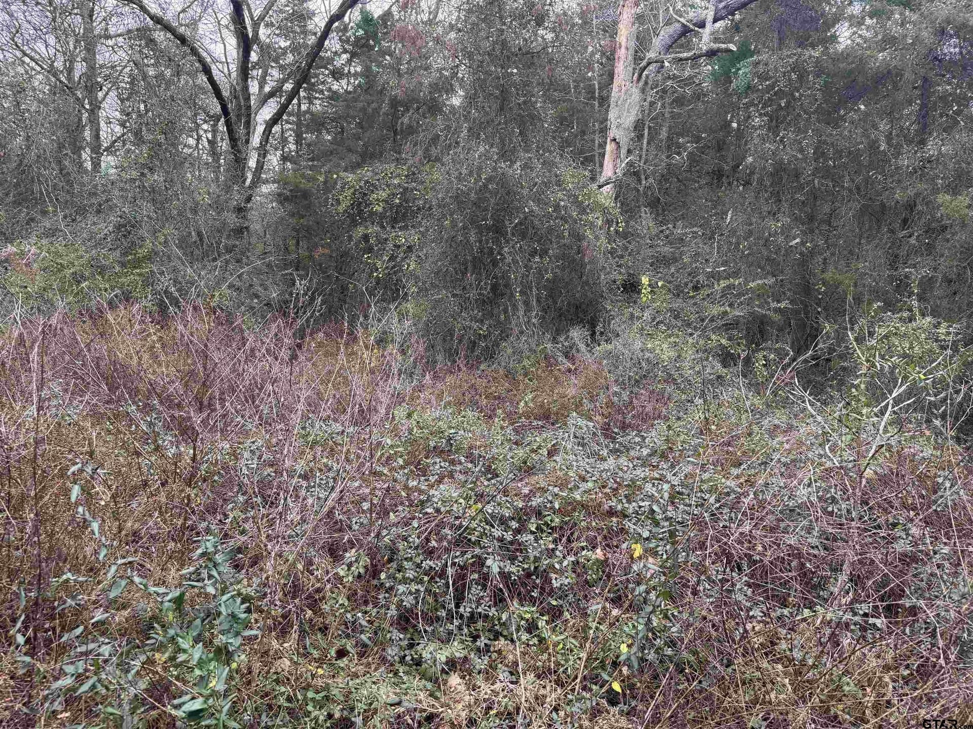 0.41 acres in Cherokee County - photo 4