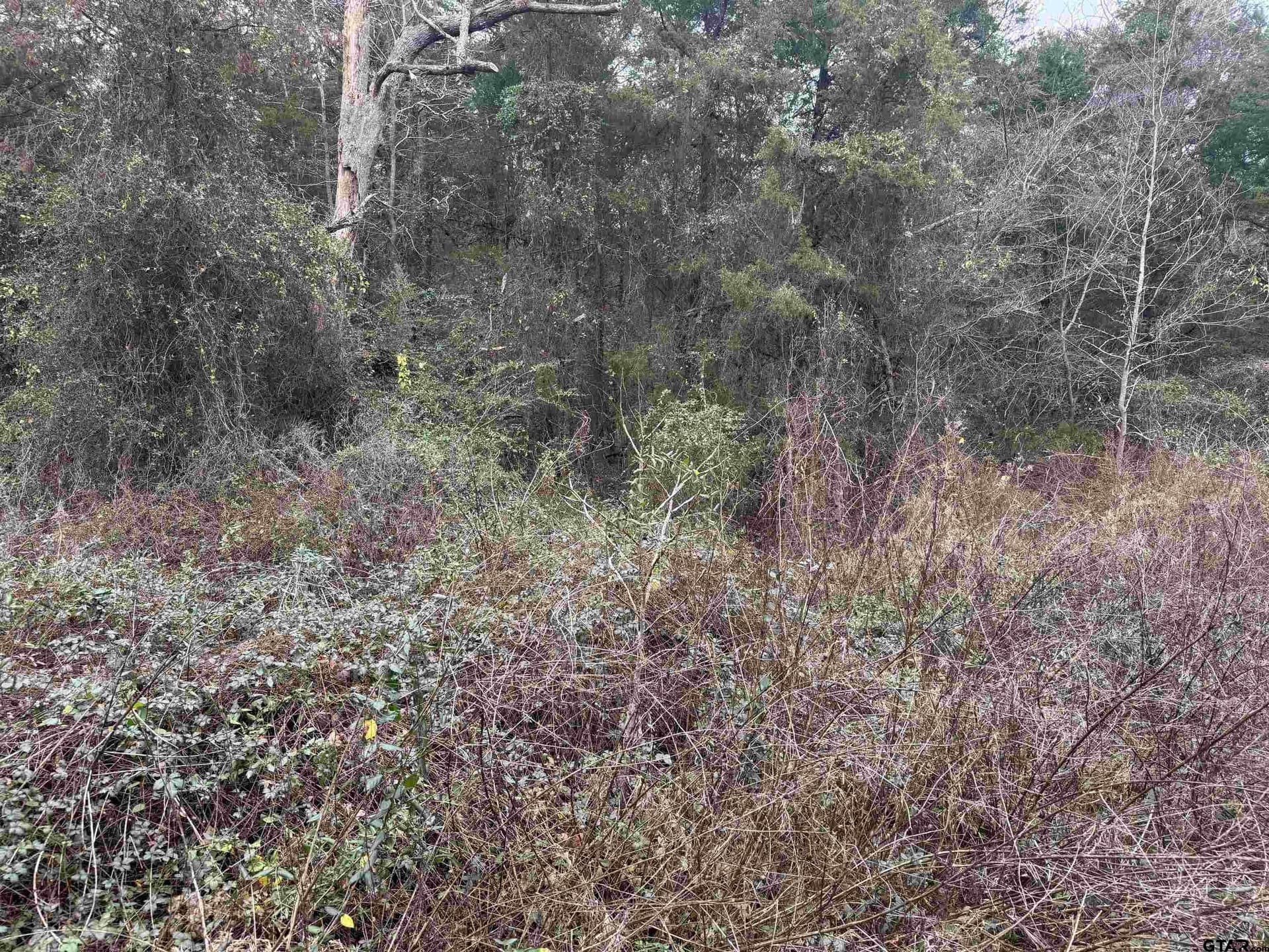 0.41 acres in Cherokee County - photo 5