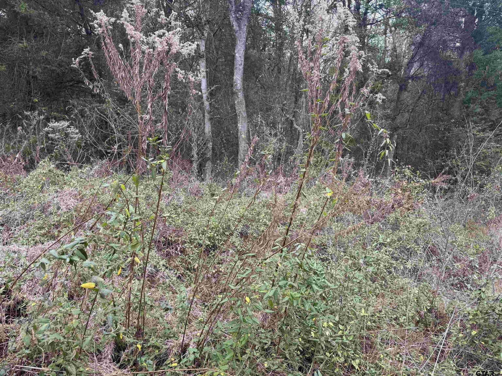 0.41 acres in Cherokee County - photo 3