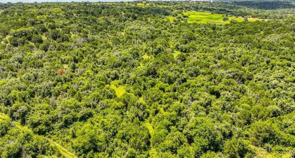 48.78 acres in Erath County - photo 15