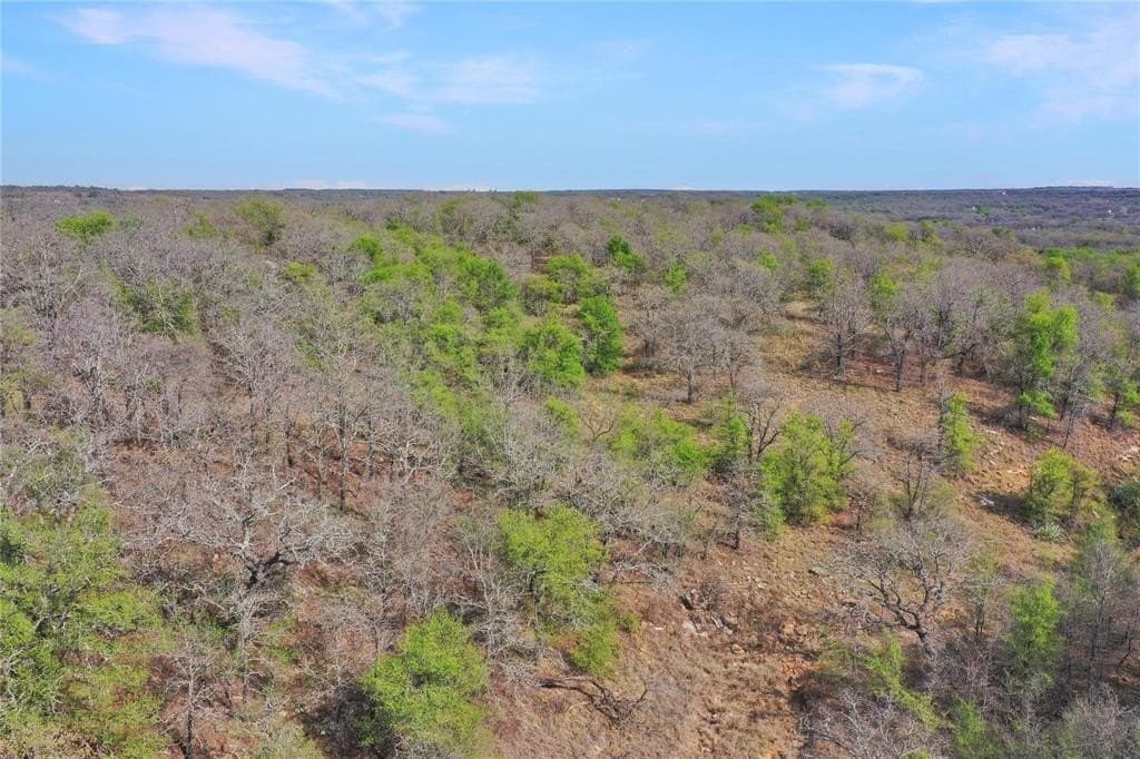 27.53 acres in Jack County - photo 5
