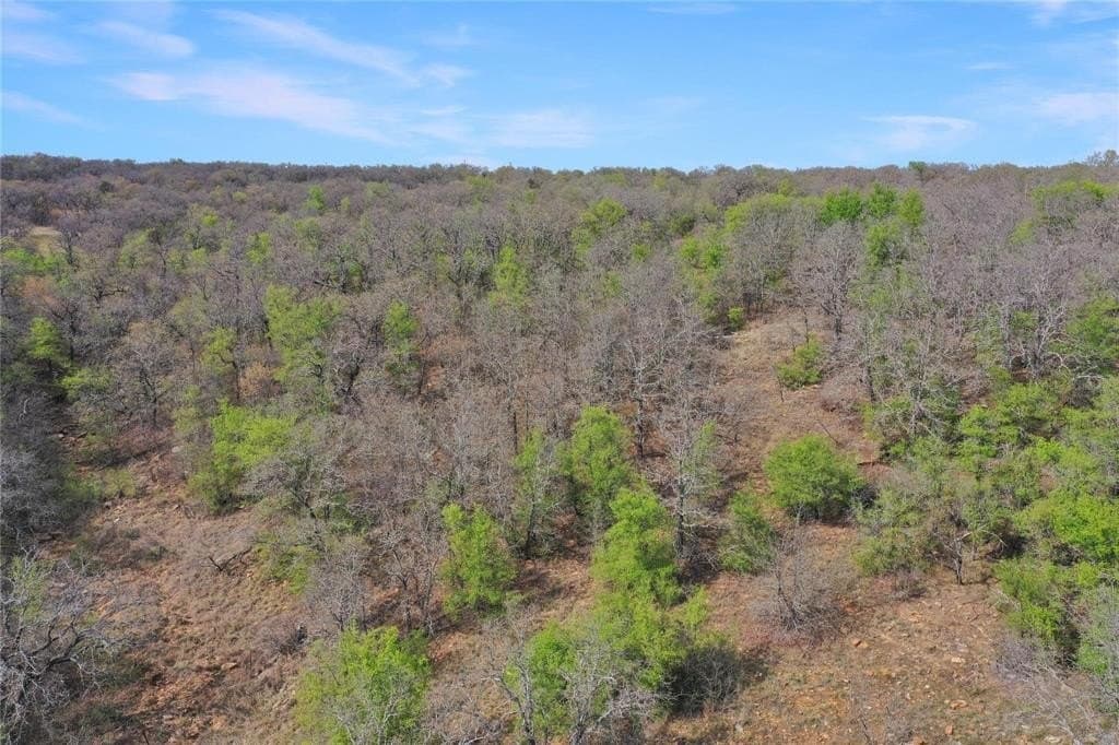 27.53 acres in Jack County - photo 2