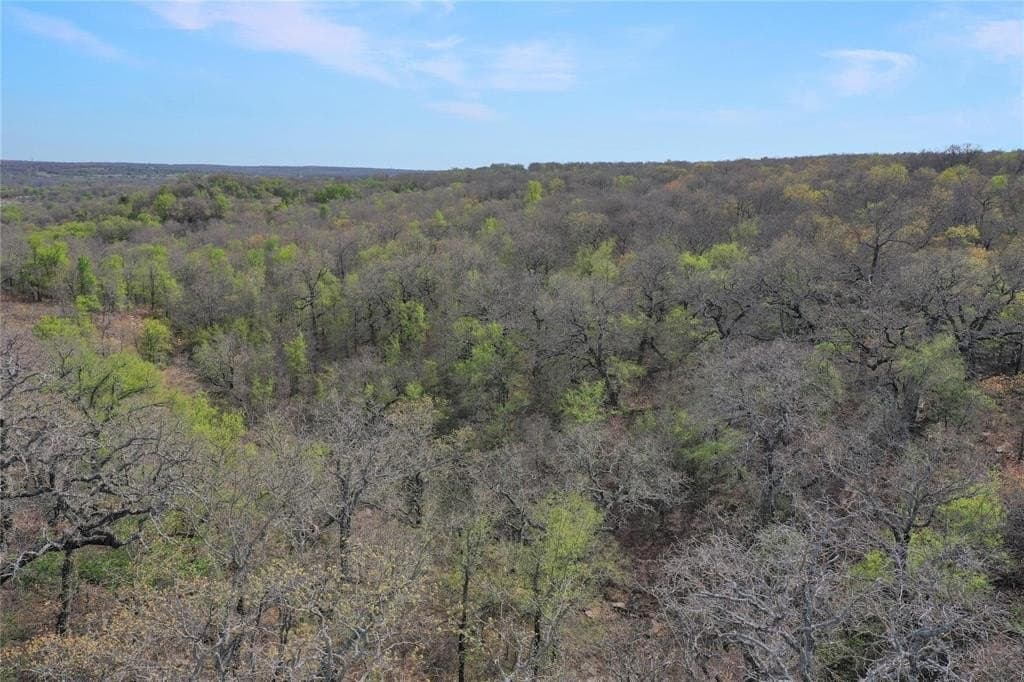 27.53 acres in Jack County - photo 4