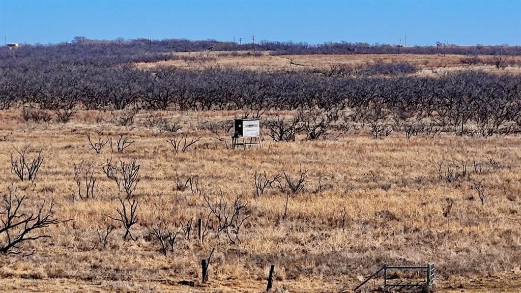 2,226 acres in Clay County - photo 15