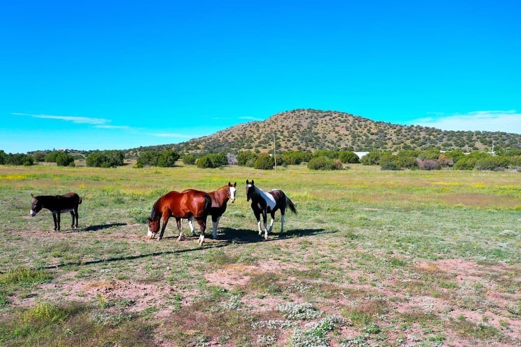 105.62 acres in Brewster County - photo 4
